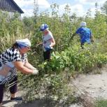 Льговские единороссы провели вырубку сорного кустарника вдоль береговой зоны реки Сейм