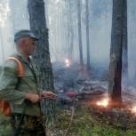 В Башкортостане волонтеры помогают в ликвидации лесных пожаров