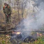 Первоуральские активисты помогают в борьбе с лесными пожарами