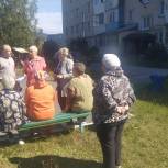 Решение вопроса с выгулом собак – важный наказ в народную программу от жителей Златоуста