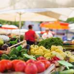 На площадке «Единой России» предложили новые меры по снижению цен на сезонные овощи
