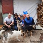 Сторонники и активисты партии «Единая Россия» посетили приют для бездомных животных