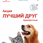 Объявлена акция в поддержку бездомных животных
