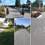 Мониторинг безопасности передвижения на пешеходных переходах в Красночетайском районе