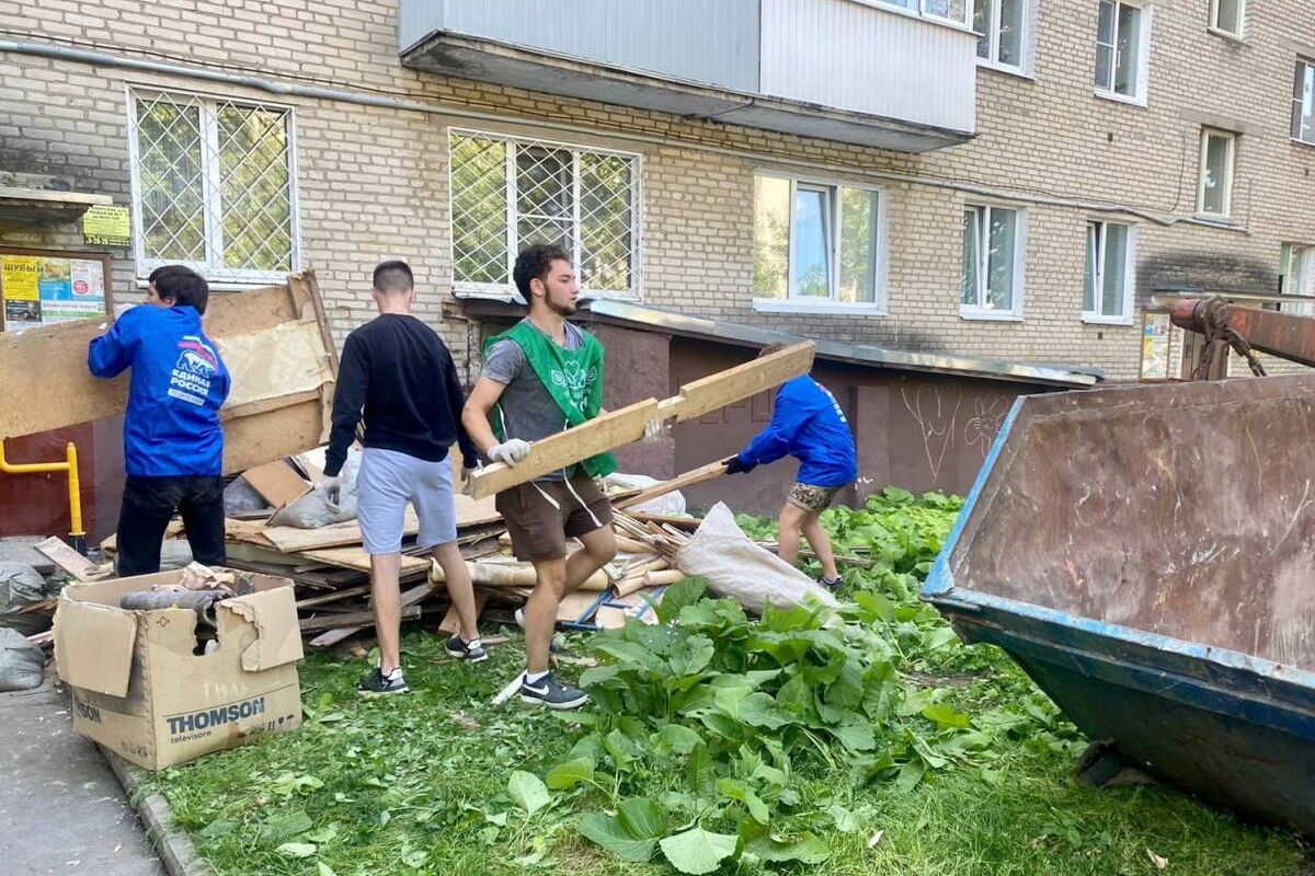 Фрязинские единороссы внесли свой вклад в дело улучшения экологии