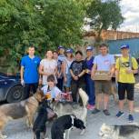 Активисты «Единой России» помогли благоустроить  территорию для Центра реабилитации бездомных животных