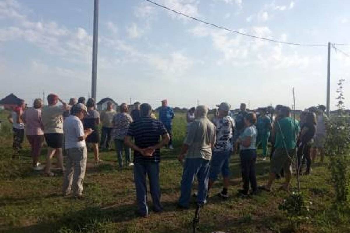 Погода в тбилисской сегодня. Пирамида Тбилисский район. Горский Тбилисский район. Новости Тбилисского района. Волки в Тбилисском районе.