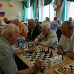 Активисты партпроекта «Старшее поколение» провели шахматный турнир