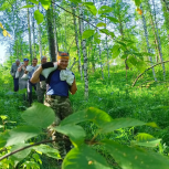 Активисты проекта «Экопоходы с Норкиным» приняли участие в уборке на территории природного парка «Оленьи ручьи»