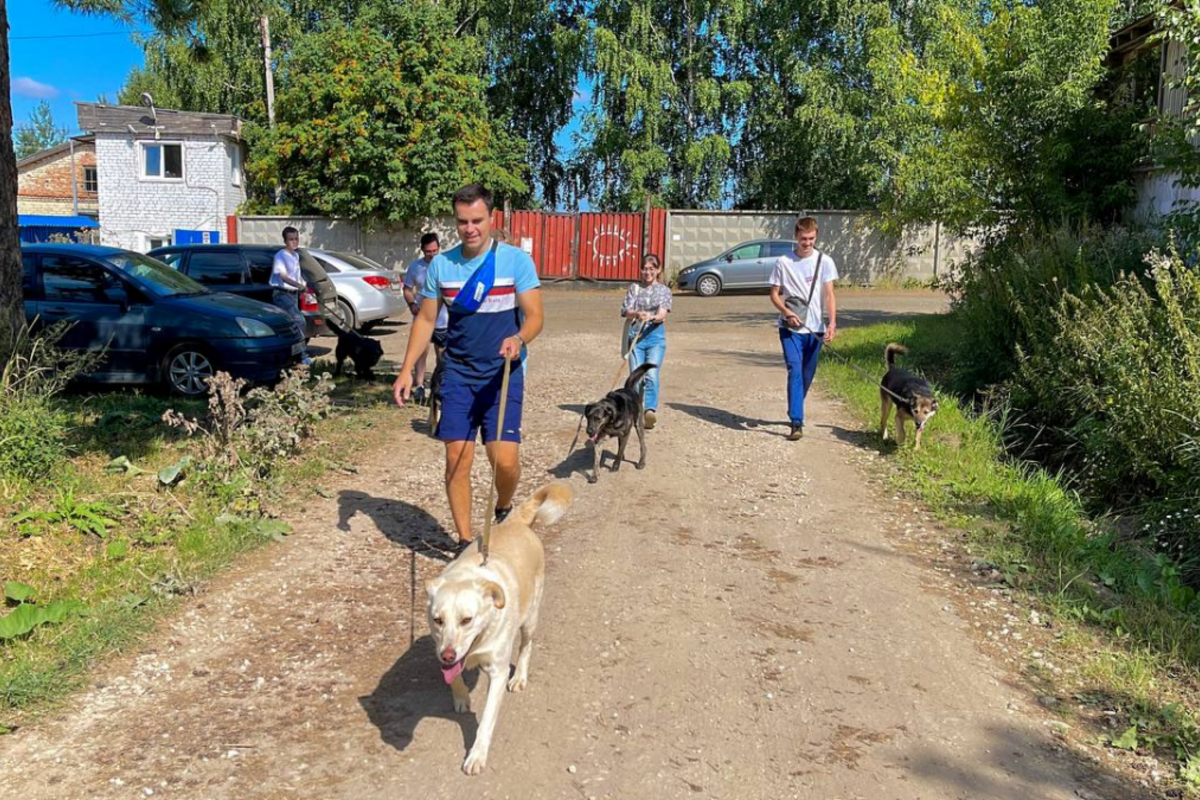 Волонтеры передали в приют корм для бездомных животных