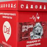 Сторонники «Единой России» помогут бездомным животным в приютах