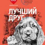 Сторонники «Единой России» запустили акцию помощи приютам для животных «Лучший друг»
