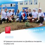 Школьники Донбасса заложили в Чебоксарах Аллею дружбы