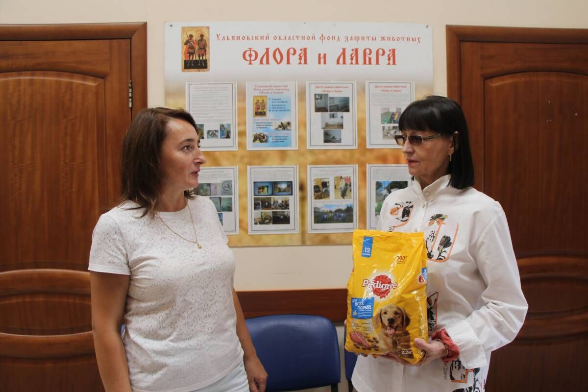В Ульяновске «Единая Россия» передала более 150 кг корма в приют для бездомных животных