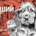 В Камчатском крае «Единая Россия» запустила благотворительную акцию помощи зооприютам «Лучший друг»