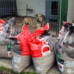Сотни килограммов кормов, ветпрепараты и лекарства: единороссы в Петербурге помогают городским приютам в ходе акции «Лучший друг»