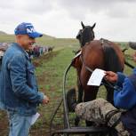 Депутат Госдумы Сергей Сокол поздравил победителей сельских соревнований конников в Копьево