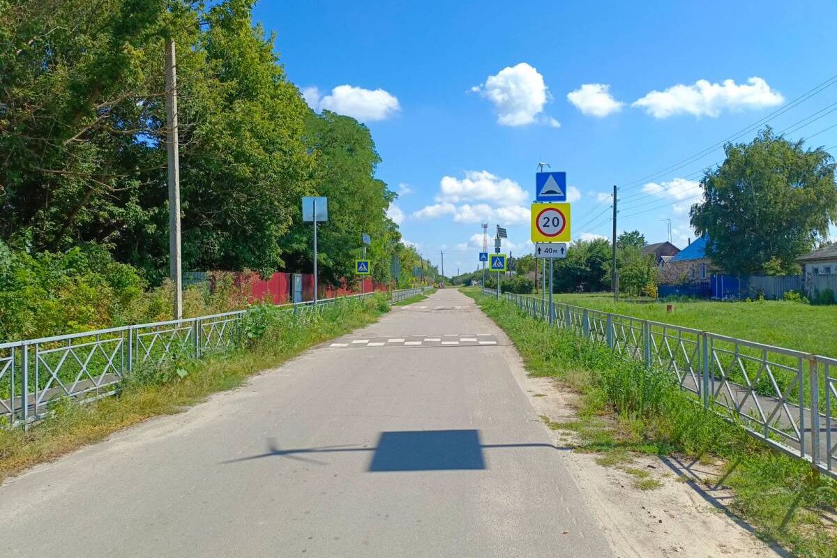 В Павловске «Единая Россия» провела мониторинг территорий рядом со школами