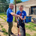 Кировские сторонники и партийцы посетили приют для животных