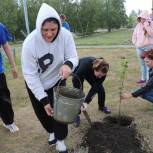 По инициативе «Единой России» в Самарской области появятся яблоневые аллеи в честь участников СВО