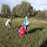 Активисты «Единой России» навели порядок на берегу реки Волхов в Новгороде