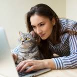 В Москве сервисом онлайн-записи к ветеринару воспользовались более 700 тысяч раз