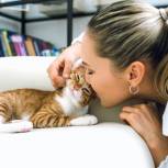 В Международный день кошек ветеринары напомнили, как заботиться о питомцах