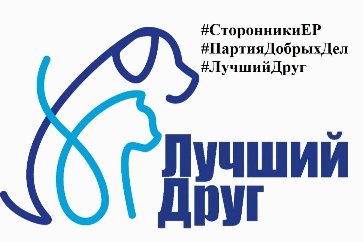 Единая Россия» в Кирове запустила акцию «Лучший друг» | 01.08.2023 | Киров  - БезФормата