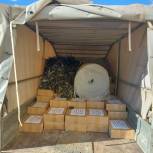 В Агрызском районе молодогвардейцы отправили гуманитарную помощь военнослужащим