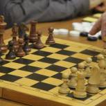 Сторонники «Единой России» организовали турнир по шахматам