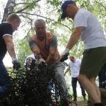 «Единая Россия» очистила берег пруда в рабочем посёлке Михнево Московской области
