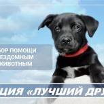 «Единая Россия» запустила акцию «Лучший друг» для помощи животным, живущим в приютах
