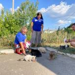 В Апастовском районе активисты «Молодой Гвардии Единой России» накормили бродячих кошек
