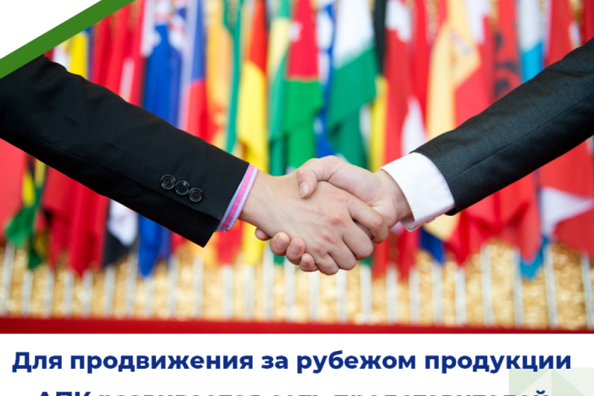 Мордовия поставляет за рубеж мясную, молочную продукцию и кондитерские изделия