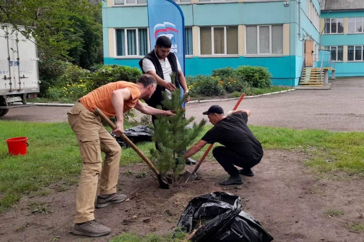 Акция помощь школе. Помощь от школы.