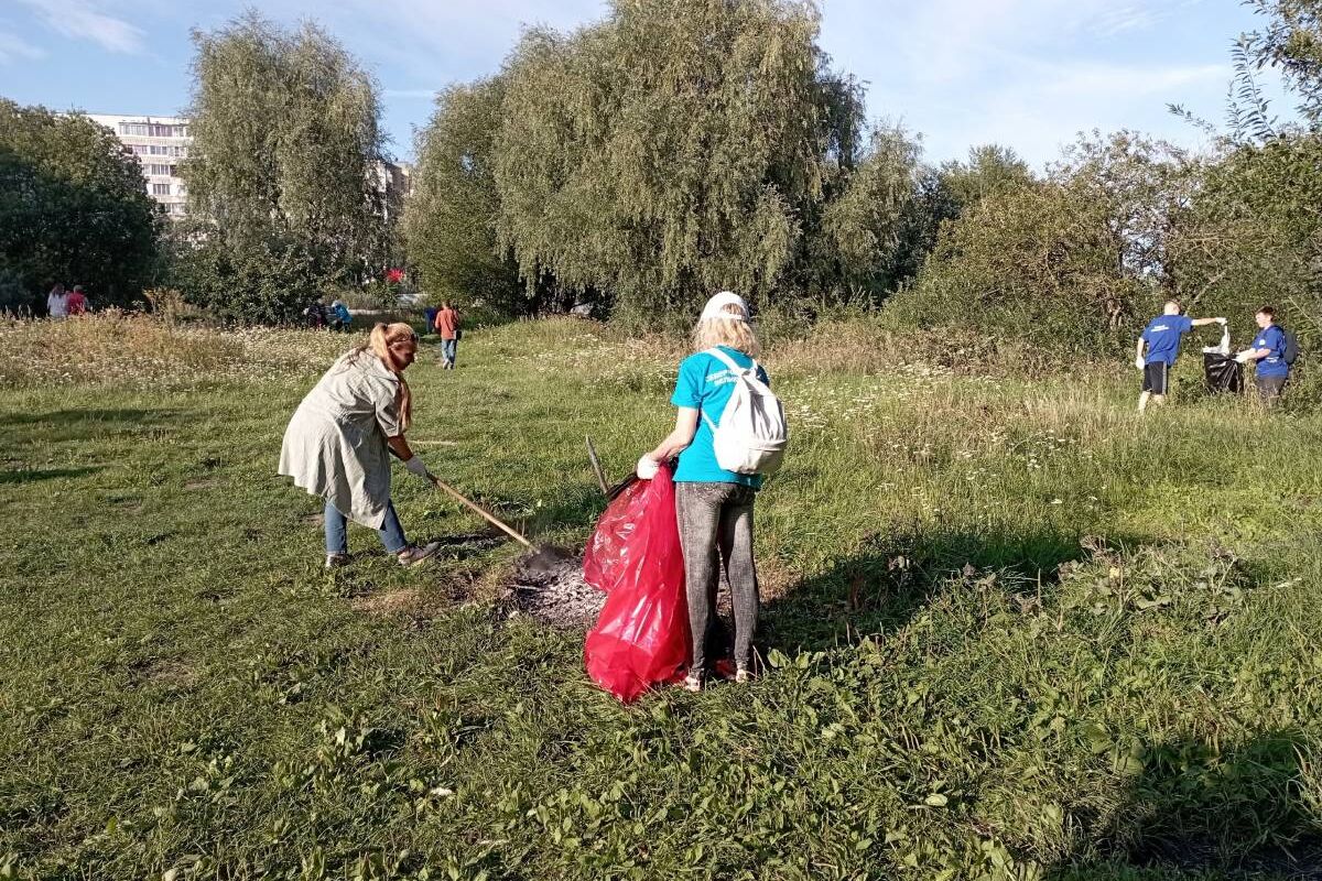 Сделаем берег Волхова чище!