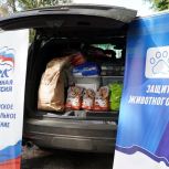 Помощь для лучших друзей: самарцы помогли зооприюту  из Тольятти