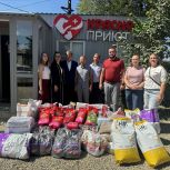 Сторонники «Единой России» передали гуманитарную помощь в приюты для животных в Краснодаре