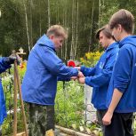 Память жива: в Костромской области уже пять лет приводят в порядок захоронения ветеранов Великой Отечественной войны
