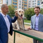 Алексей Вихарев оценил новые площадки для выгула собак в Орджоникидзевском