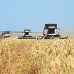 «Единая Россия» проведёт первый Всероссийский аграрный диктант в октябре этого года