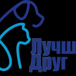 Сторонники «Единой России» запустили акцию «Лучший друг»