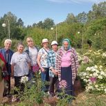 В Иркутске активисты Центра общения старшего поколения ухаживают за редкими растениями в Ботаническом саду ИГУ