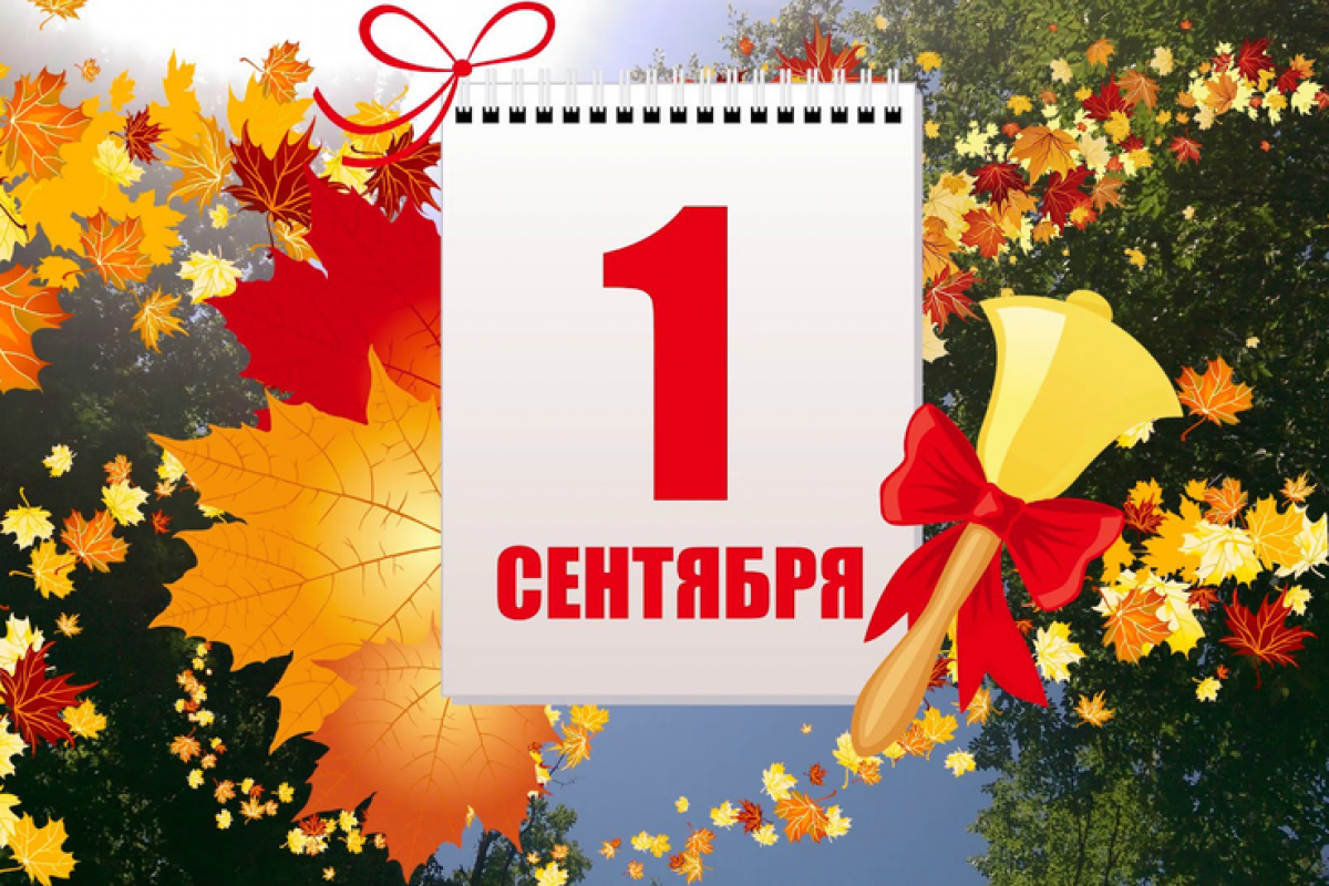 Дорогие земляки! Родные вологжане!