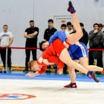 «Единая Россия» создаёт условия для развития единоборств в Нефтеюганском районе