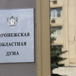 В Воронежской области вводят ответственность за публикацию информации о работе ПВО и последствий атак БПЛА