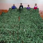Активисты Краснопартизанского района продолжают делать маскировочные сети для СВО