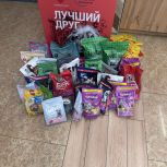Партийная акция по сбору кормов для животных «Лучший друг» продлится до 17 августа