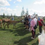 Проект "Единая страна-доступная среда"  играет ключевую роль в создании комфортной и безопасной инфраструктуры для людей с инвалидностью