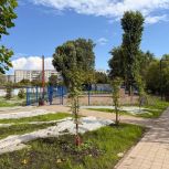 В Красноярске завершается благоустройство территории вокруг озёр в микрорайоне Пашенный